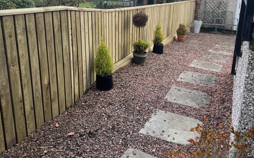 Timber fencing in a sunny Dunbartonshire garden